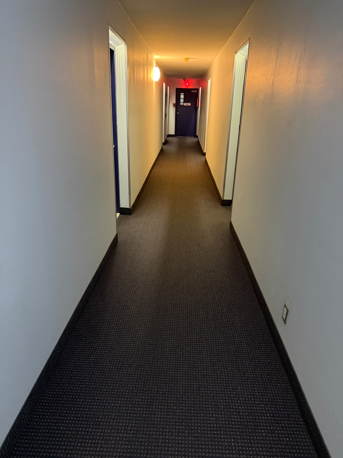 Tapis de corridor : nettoyage à fond
